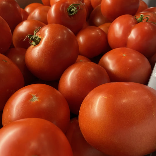 Slicing Tomato - (4) for $6